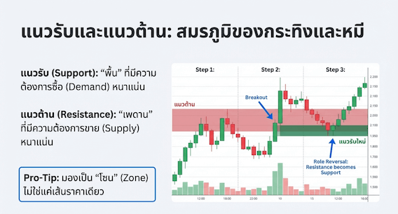 การดูแนวรับและแนวต้าน
