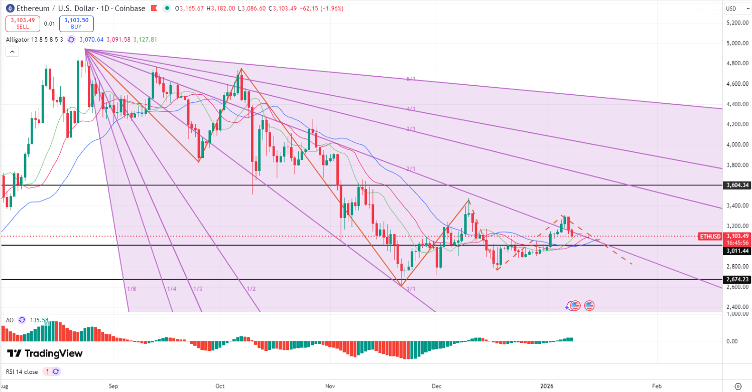 17678580361177 17678580361177