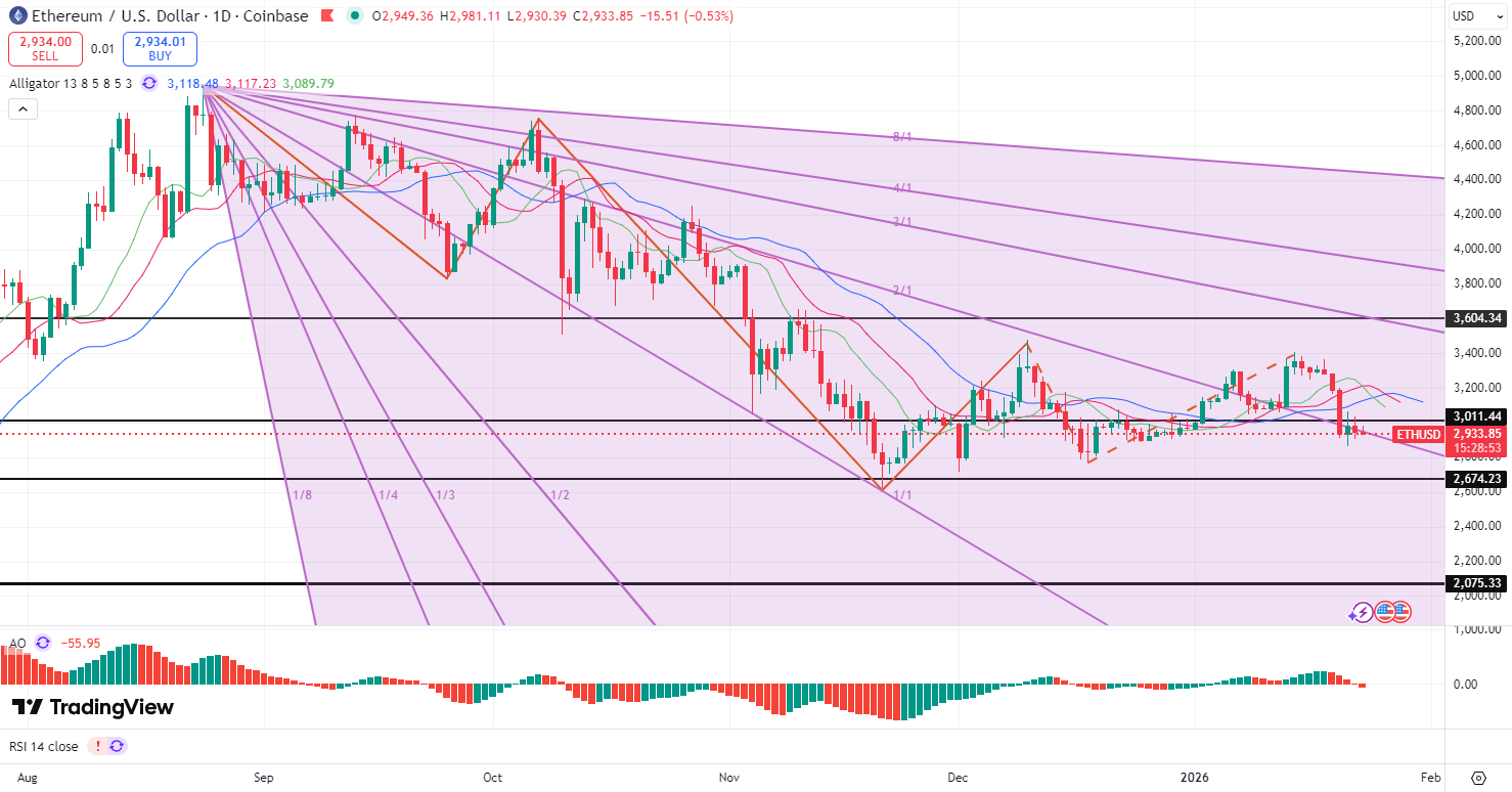 17691614167488 17691614167488