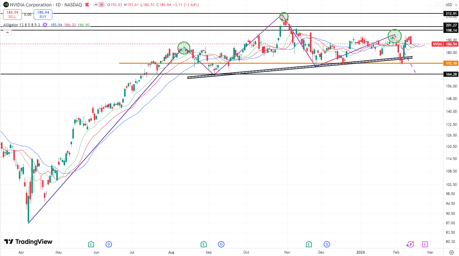 17709764082053 17709764082053