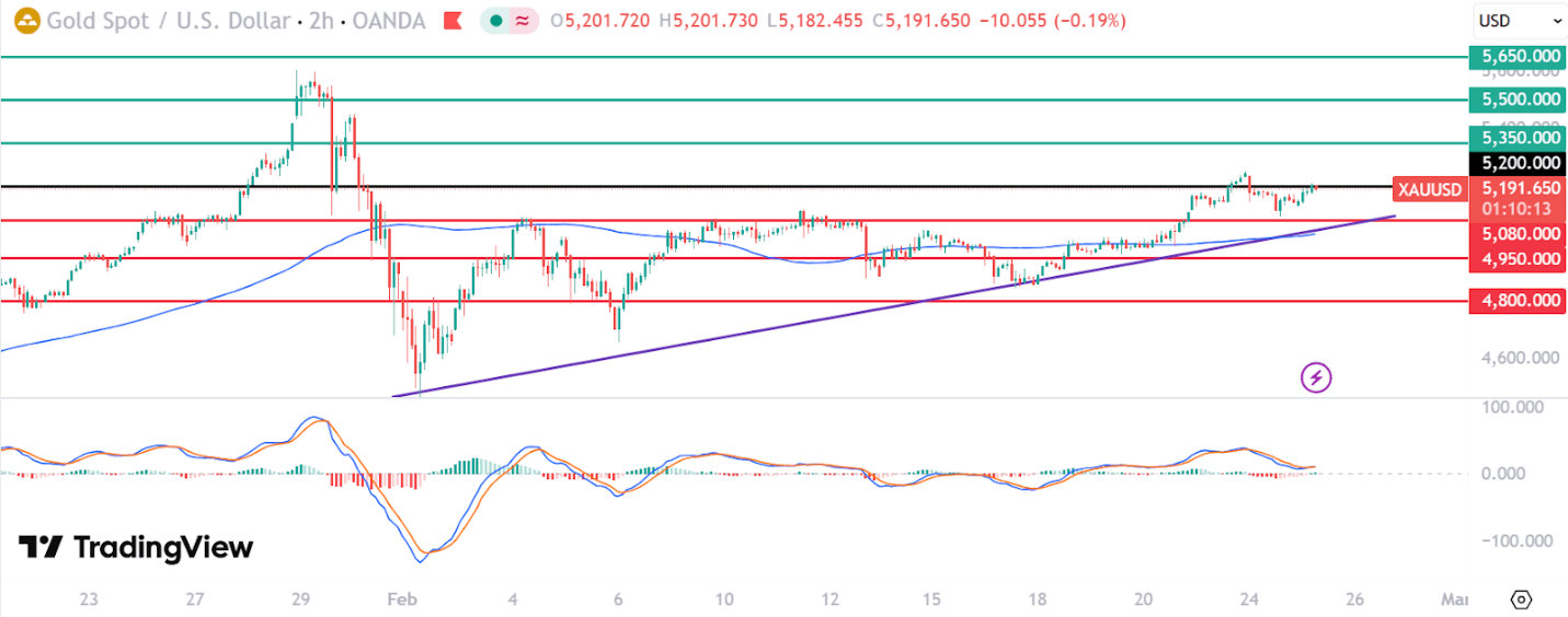 17720925146654 17720925146654