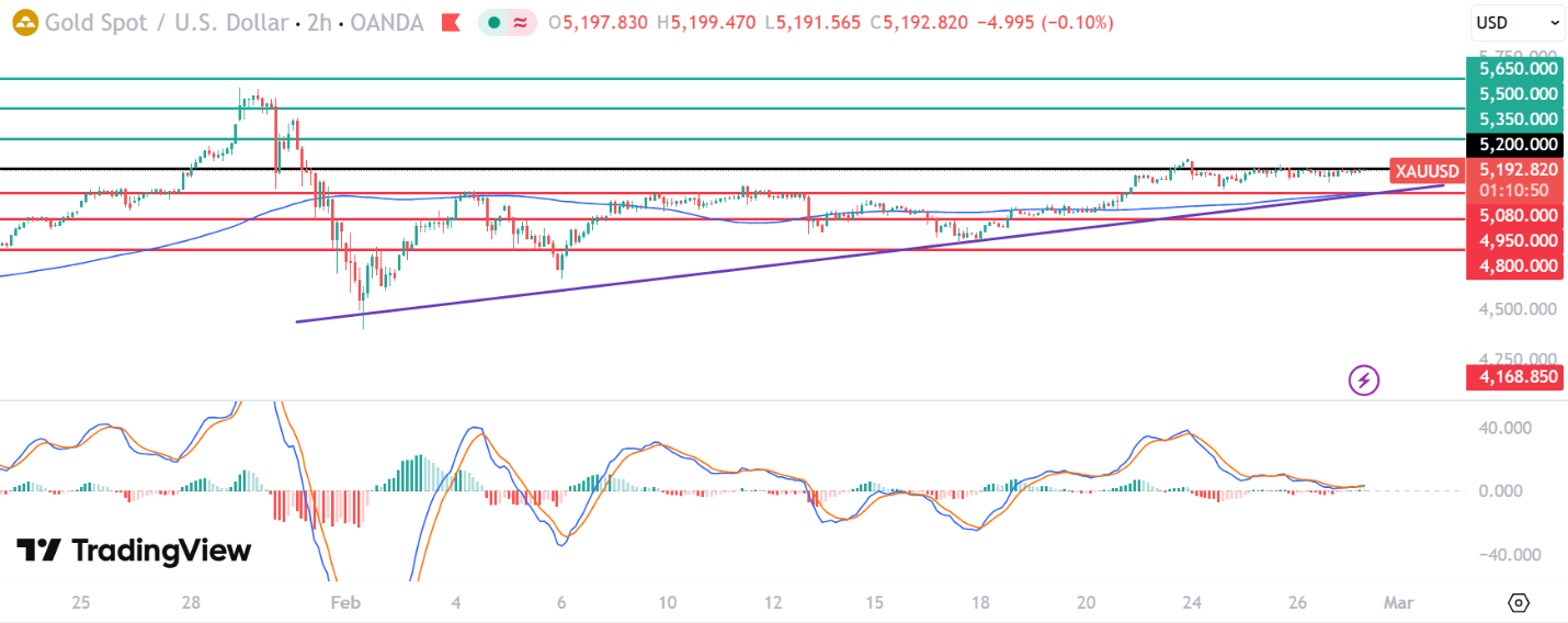 17721797202918 17721797202918