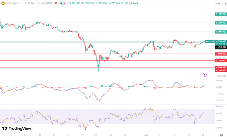 17761551012475 17761551012475