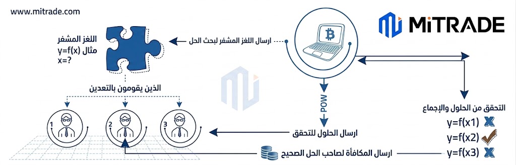 17761605157186 17761605157186