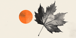 The Bank of Canada’s (BoC) December meeting minutes show policymakers becoming more confident in the economy’s resilience while remaining cautious amid unusually high uncertainty.